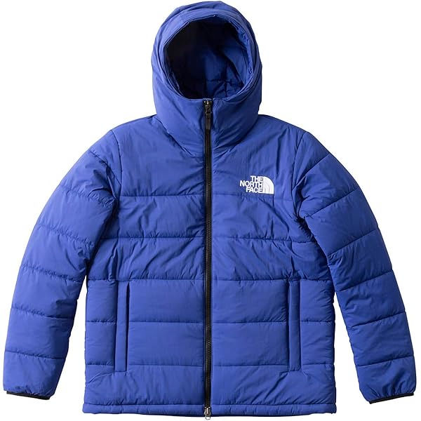 ノースフェイスNS51916 A-CAD JACKET スキースノボージャケット Amazon.co.jp: ノースフェイス NS51916 A-CAD JACKET スキー スノボ